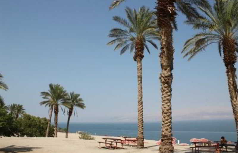Leonardo Inn Hotel Dead Sea Ein Bokek Bagian luar foto