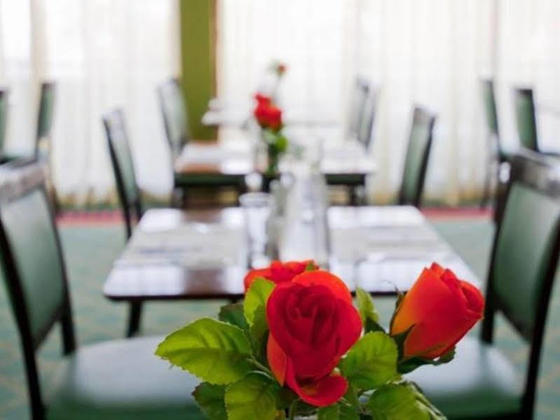 Leonardo Inn Hotel Dead Sea Ein Bokek Bagian luar foto